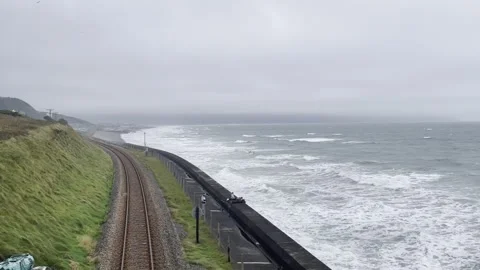 Windswept Stock Footage 292508430