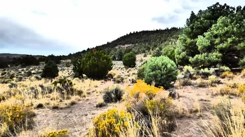 Windswept High Desert Panorama Видео 41729479