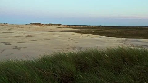 Windswept sand dunes on the edge of the Danish desert, Råbjerg Mile Stock Footage 162344686