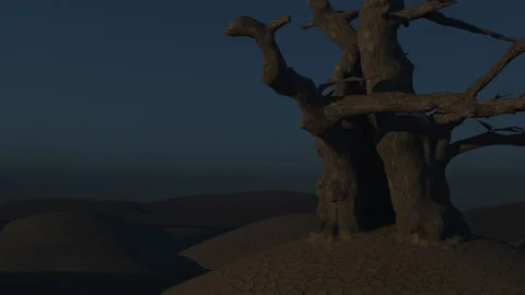 Windswept Tree Pan Stock Footage 141870231