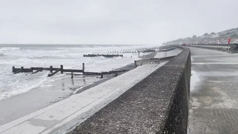 Windswept in Wales Stock Footage 292508494