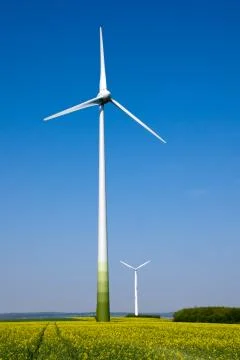 Windwheels and a field of rapeseed Stock Photos