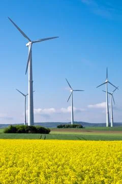 Windwheels and yellow rapeseed Stock Photos