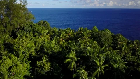 Windy afternoon on torpical island Stock Footage 74761853