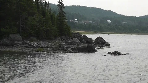 Windy and cloudy day in Bic National Park, Quebec, making the trees move Stock Footage 81786416