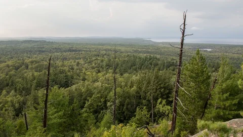 Windy and cloudy over a forest Stock Footage 100138609