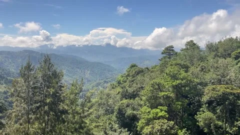 Windy and Cloudy  Summer Day in Mountains in Baguio Philippines Vidéo 214219867
