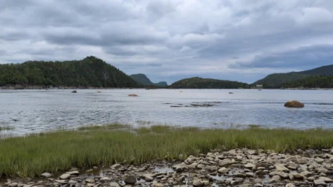 A windy and cloudy summer landscape  in the Bic national park Stock Footage 320299689