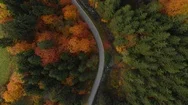 Windy And Curvy Road In Colorful Forest At Fall, 4K Aerial Drone Footage Stock Footage
