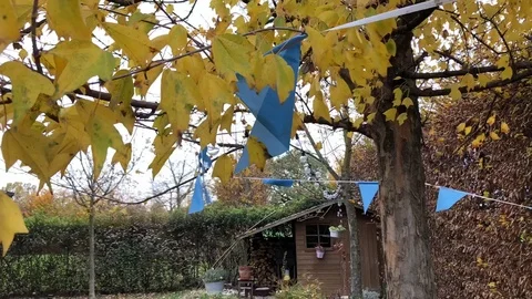 Windy autumn time lapse Stock Footage 121106445