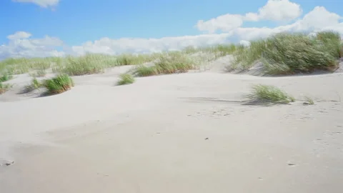Windy Baltic dune on Polish coast, blowing sand and coastal grass Stock Footage 333828286