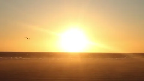 Windy Beach with blowing sand - Static Shot Stock Footage 243697604