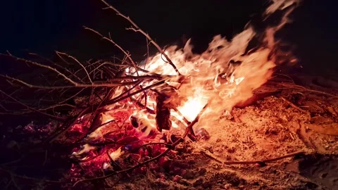 Windy Beach Camp Fire Stock Footage 278243429