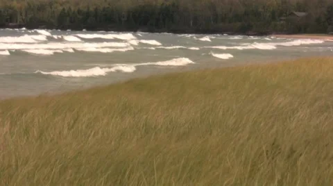 Windy beach with dune grass Stock Footage 971726