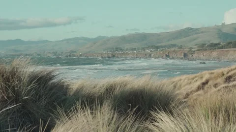 Windy beach dunes overlooking the scenic Pacific ocean 動画素材 338293936