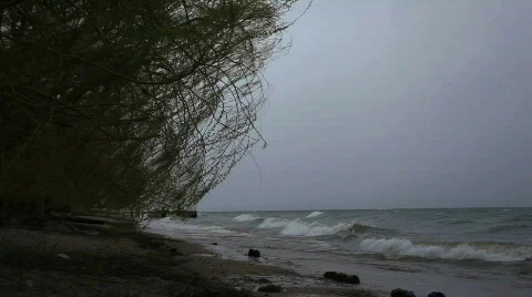 Windy Beach Stock Footage 707621