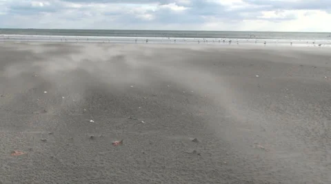 Windy Beach Stock Footage 4711494
