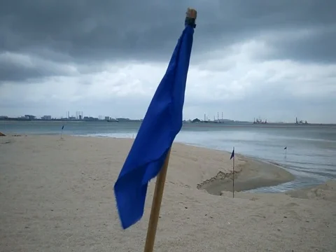 Windy Beach Video stock 85050046