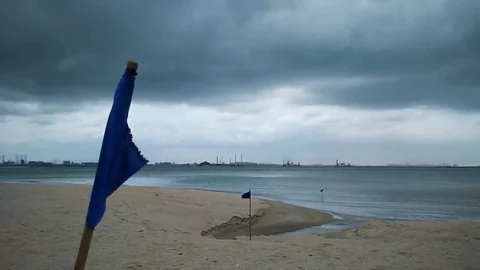 Windy Beach Video stock 85050061