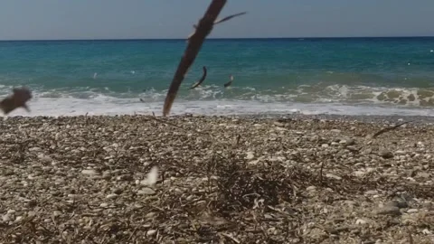 Windy beach Stock Footage 285648617