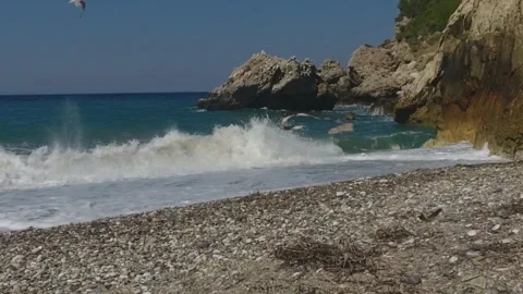 Windy beach Video stock 285648694