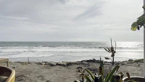 Windy Beach Landscape with Ocean Waves and Coastal Plants in Daylight Video stock 330674873