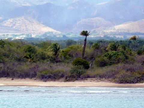 Windy beach Stock Photos