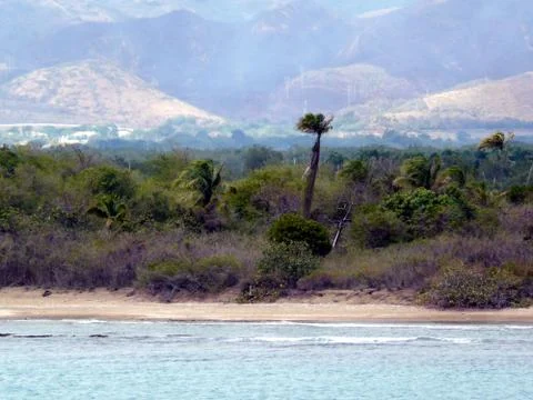 Windy beach Stock Photos