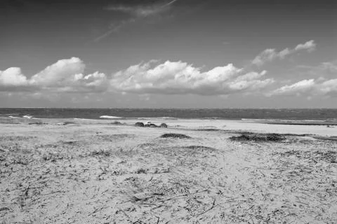 Windy beach Stock Photos