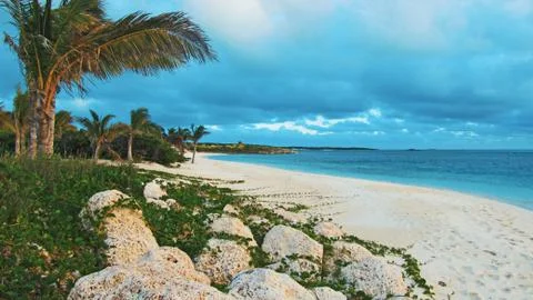 Windy beach 스톡 사진