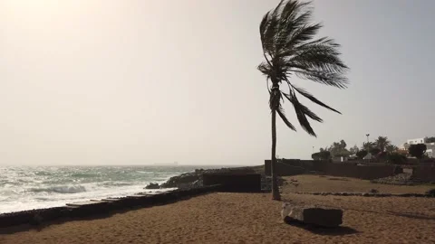 Windy calima dust storm on Lanzarote island Video stock 229452611