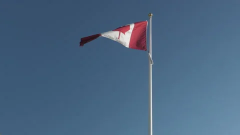 Windy Canadian Flag Video stock 157461894