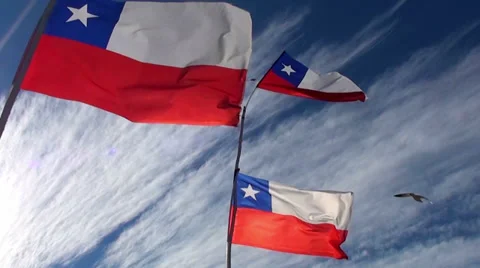 Windy Chilean Flags Video stock 33567601