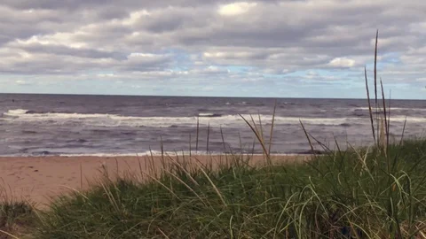 Windy Closeup Overcast Beach 動画素材 125024873