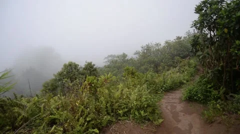 Windy cloudy trail Stock Footage 58807389