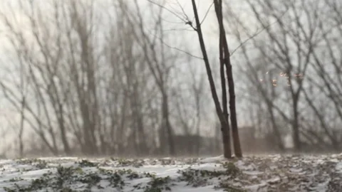 Windy, Cold and Snowy weather Stock Footage 70676475