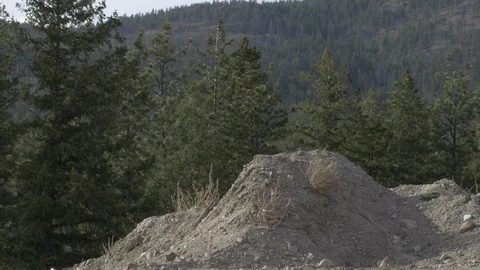 Windy construction site with trees blowing in the wind Stock Footage 108067059