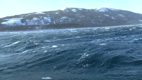 Windy day 2 Stock Footage 84982223