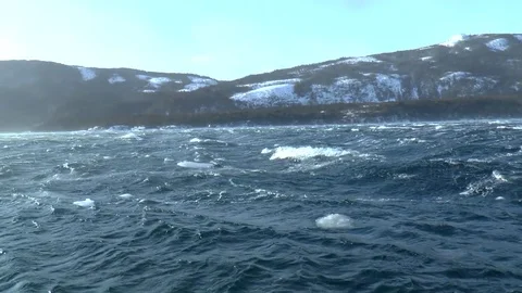 Windy day 3 Stock Footage 84972357