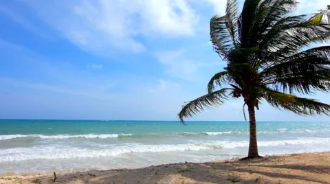 Windy day at the beach Stock Footage 45878206