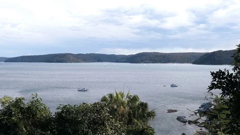 Windy day on the Beach Stock Footage 80743828
