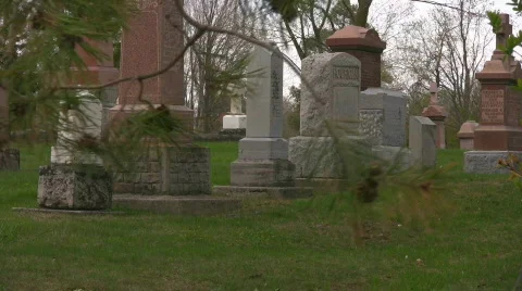 Windy day at a cemetery Stock Footage 398759