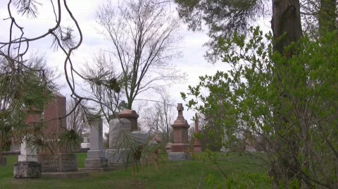 Windy day at a cemetery Stock Footage 398896