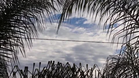 Windy Day Cloud Stock Footage 49998675