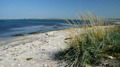 Windy day at coastline Stock Footage 12208495