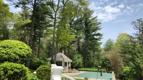 A Windy Day during the Spring and the green trees Stock Footage 108632426