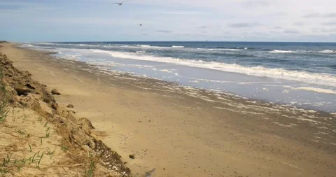 Windy day on an empty beach. Video stock 231215740