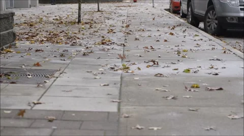 Windy Day Stock Footage 48142845