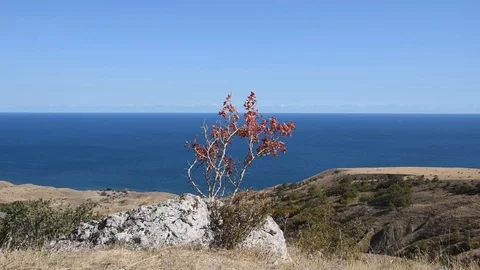 Windy day Video stock 117033362