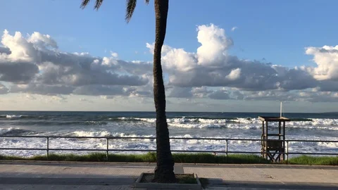 This is a windy day Stock Footage 128132349